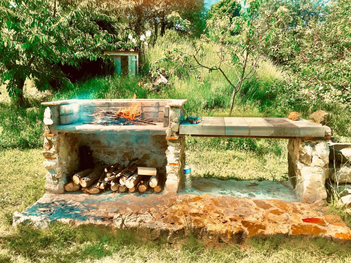 بانيو أَ ريبولِ Podere Di Belforte المظهر الخارجي الصورة