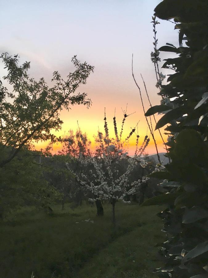 بانيو أَ ريبولِ Podere Di Belforte المظهر الخارجي الصورة
